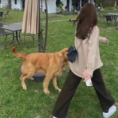 失匙杀手